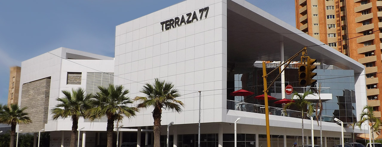 Sede Principal Álvarez Asociados - Terraza 77